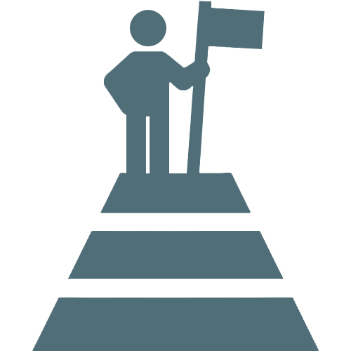 icon high standards
